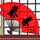 守法公民